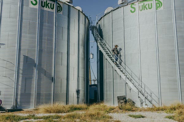 A close-up view of two large grain bins. Mr. Westerfield is walking down a staircase between the two.
