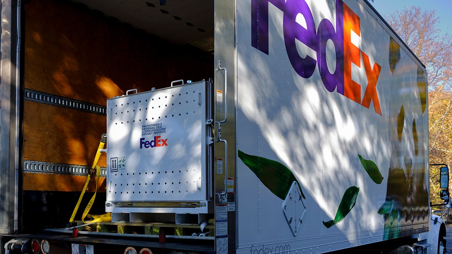 FedEx truck with panda