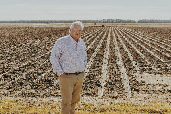 Wayne Dulaney, wearing a red and white striped shirt and khaki-colored pants, stands beside his fields.